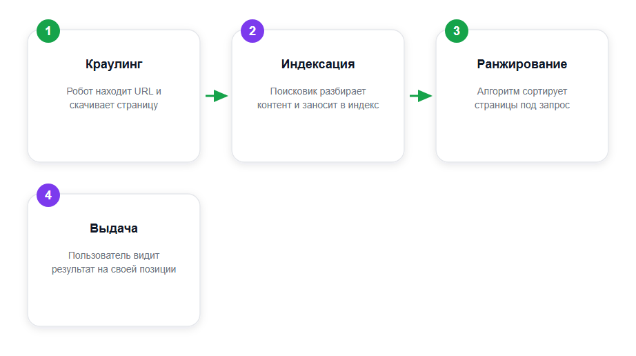 Путь страницы в поиске: от обхода роботом до позиции в выдаче