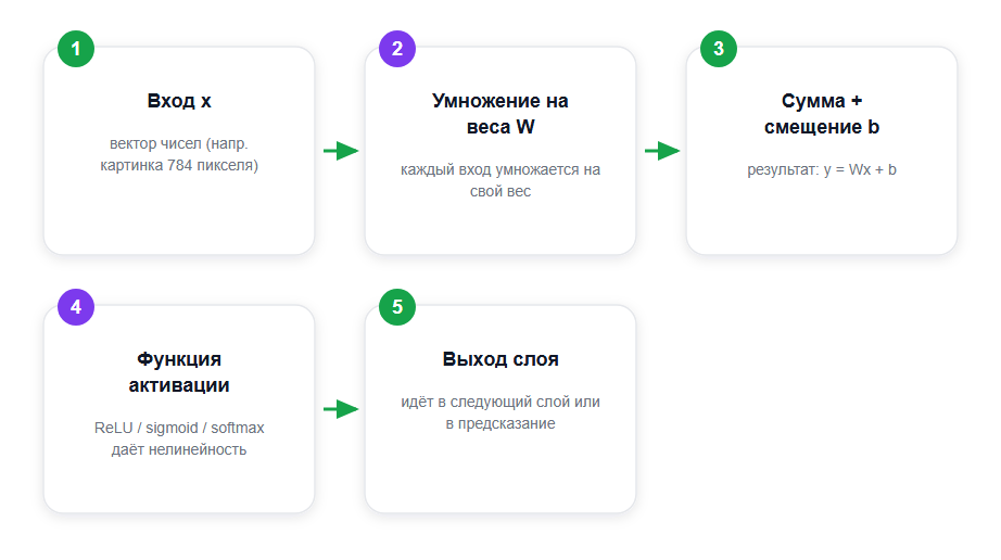 Поток данных через полносвязный (Dense) слой: от входа к предсказанию